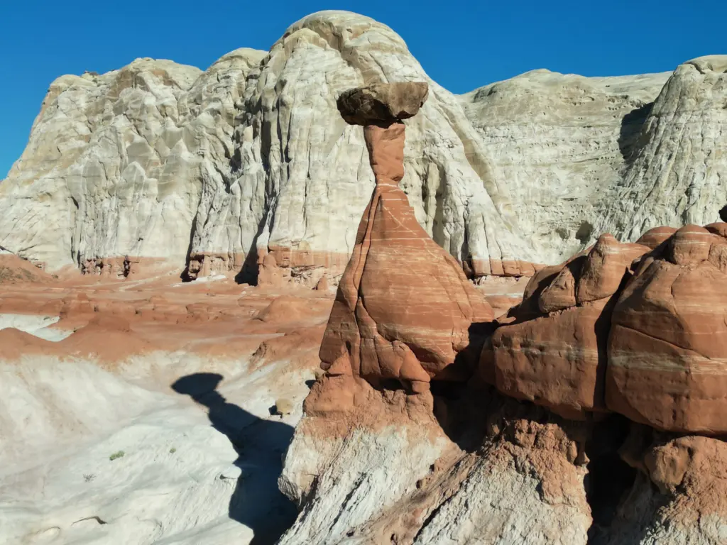 Toadstool Hoodoo