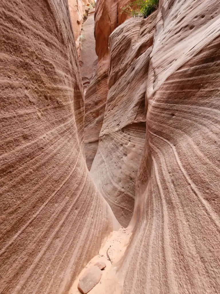 Red Hollow Canyon