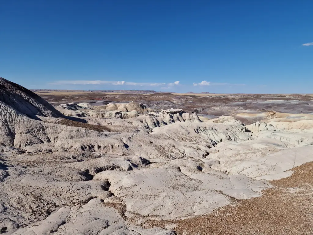 Petrified Forest National Park Blue Mesa Old Trail