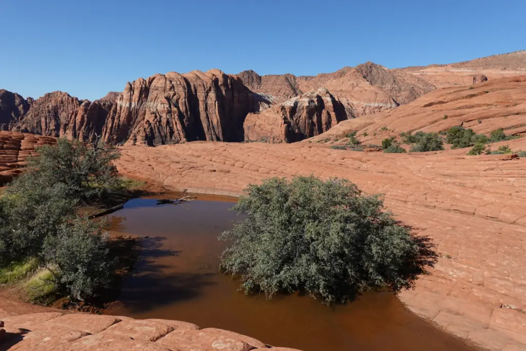 Petrified Sand Dunes Pot Hole