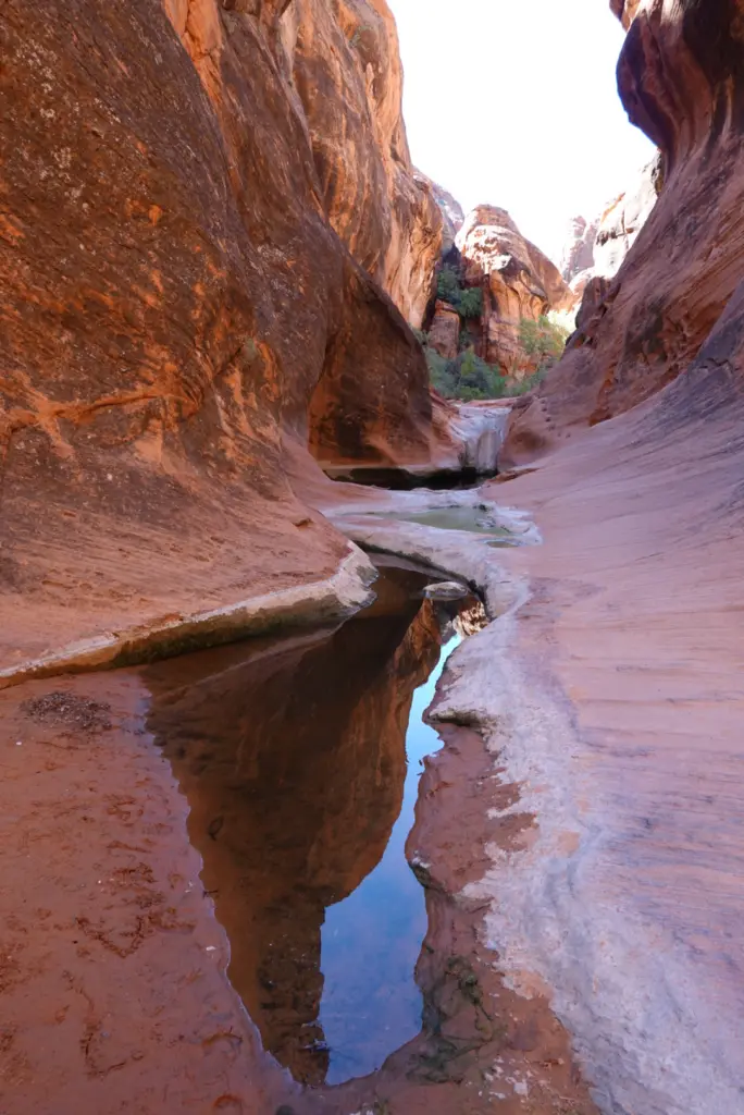 Red Cliffs Red Reef