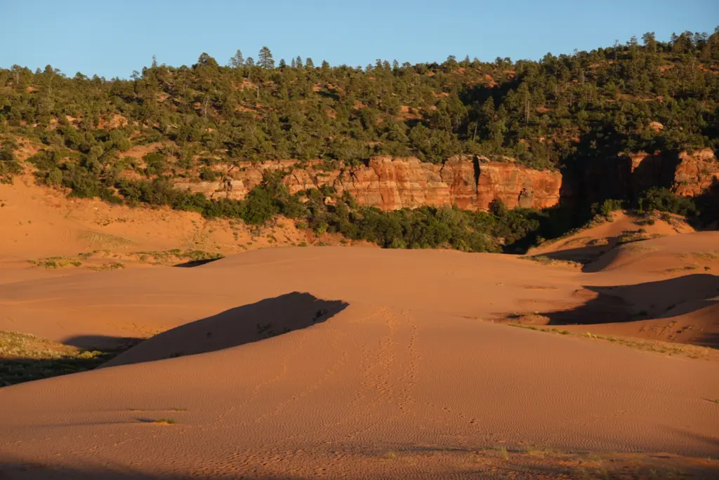 Coral Pink Sand Dunes State Park