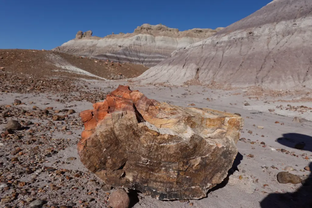 Petrified Forest National Park Blue Mesa