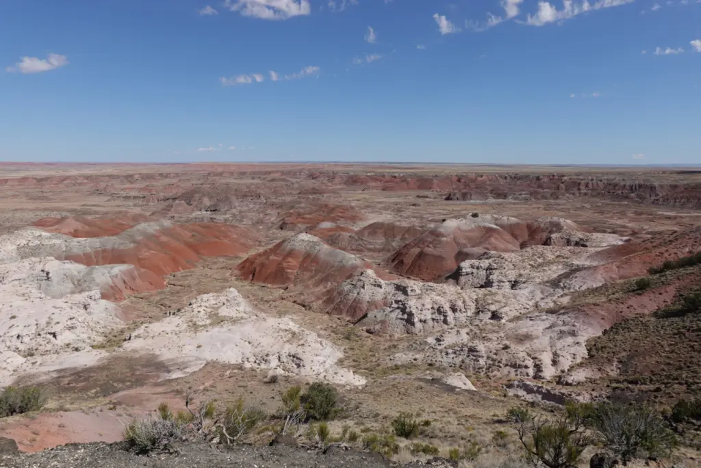 Petrified Forest National Park Painted Desert