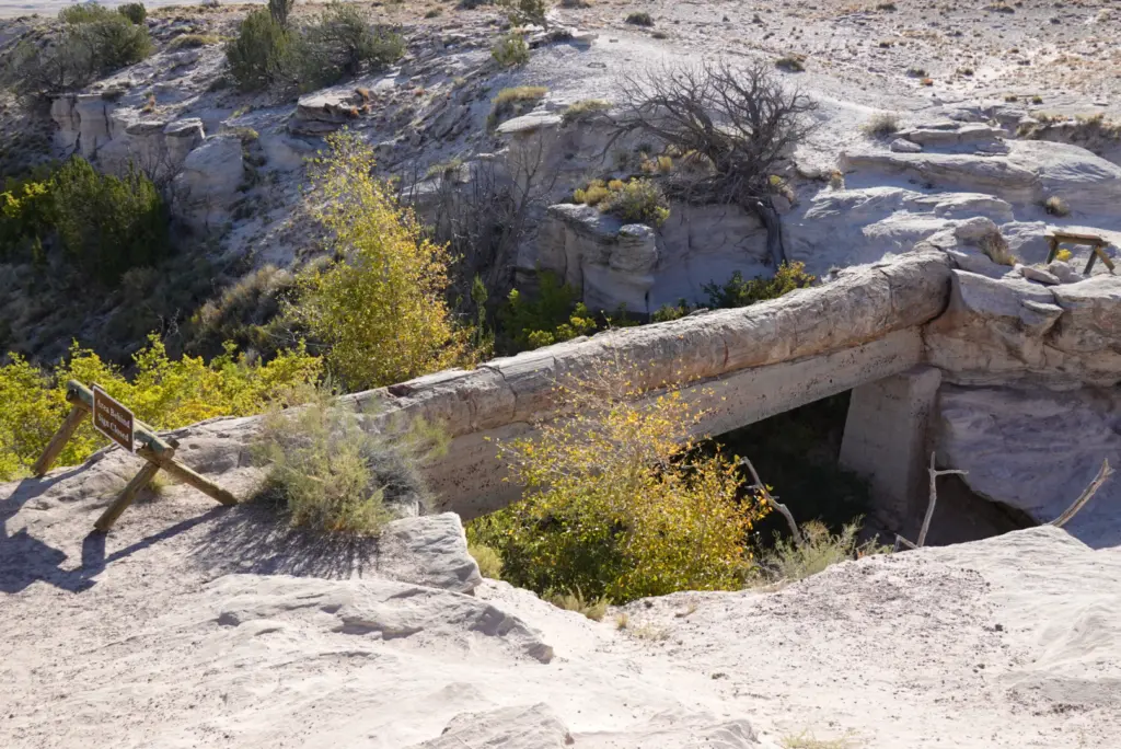 Petrified Forest National Park Agate Bridge